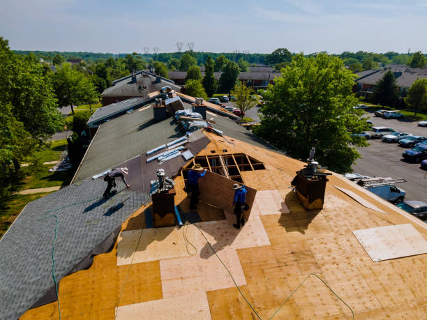 24/7 Emergency Roof Repair experts in Macon, MS